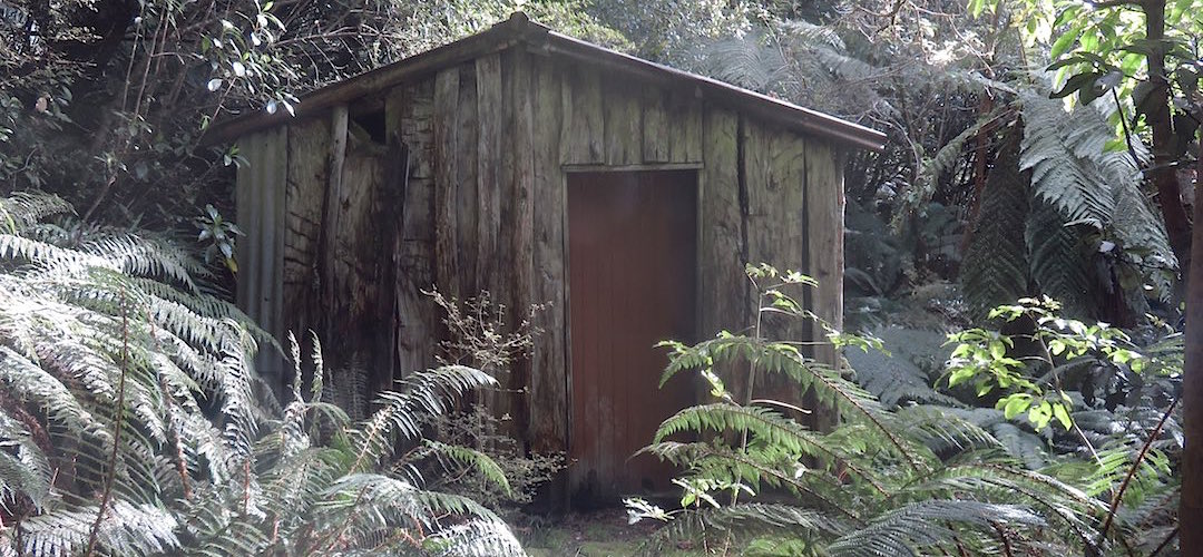 Fairly rustic construction methods were used and local timber. | Beech Hut, Milford Track