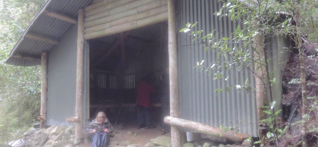 The rather primitive structure is just shelter. | Bus Stop Shelter, Milford Track
