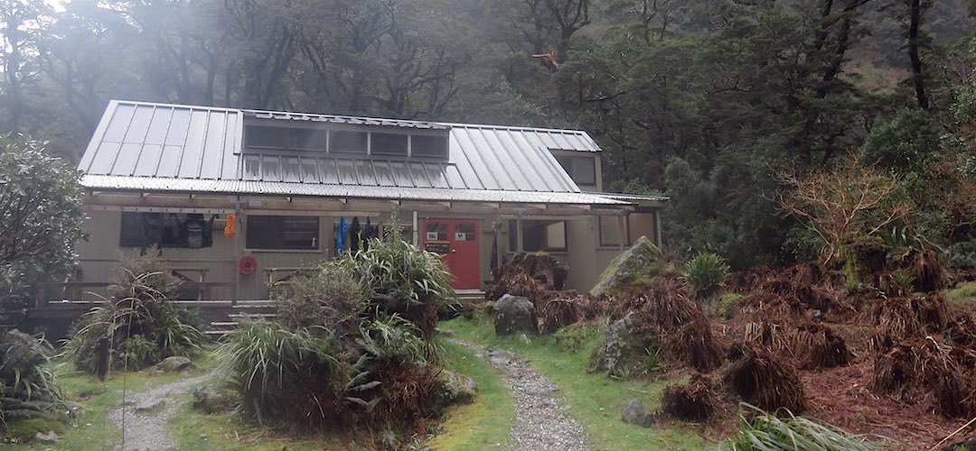 Yup, that's the compact Mintaro Hut.  | Mintaro Hut, Milford Track
