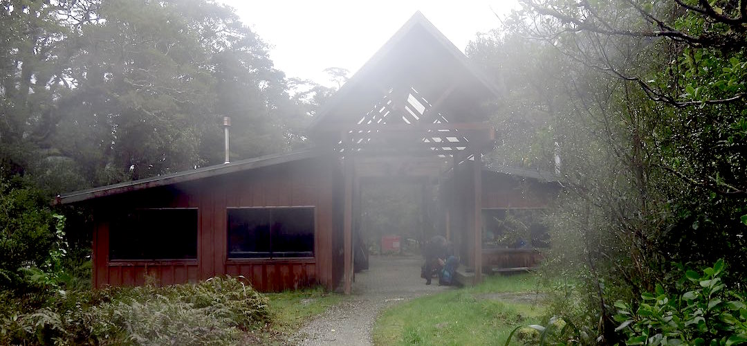Last look at the track. | Sandfly Point Shelter, Milford Track