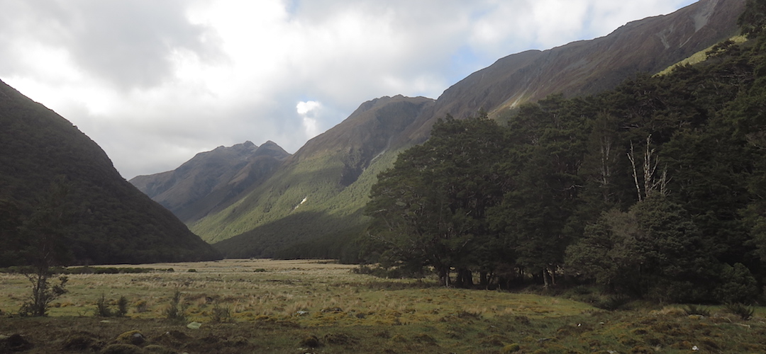 More mid-Greenstone Valley, nice, eh?   | Greenstone Track, Greenstone Conservation Area