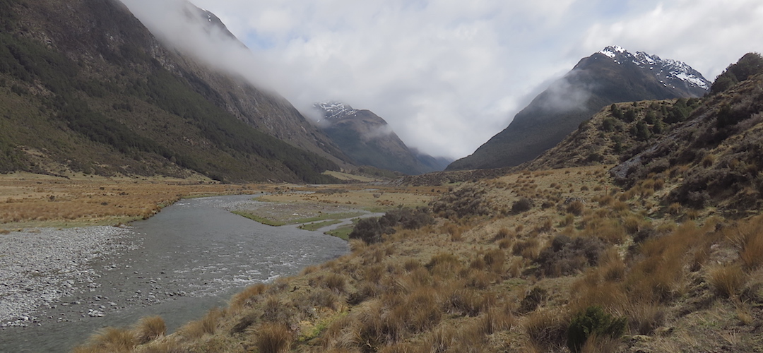 The mid-Greenstone River valley near Steele Creek   | Greenstone Track, Greenstone Conservation Area