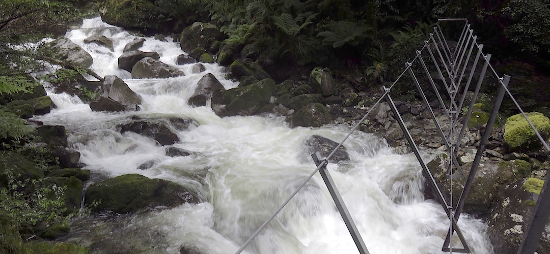 You get used to crossing these three wire bridges quickly enough  | Hollyford Track, Fiordland National Park