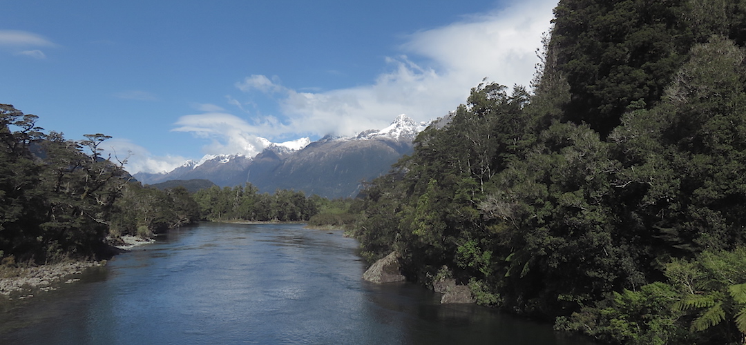 The Darren Mountains from the Pyke River suspension bridge.  | Hollyford Track, Fiordland National Park