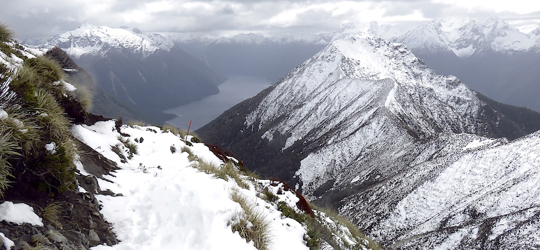  The South Fiord of Lake Te Anau is 1200m down there | Kepler Track, Fiordland National Park