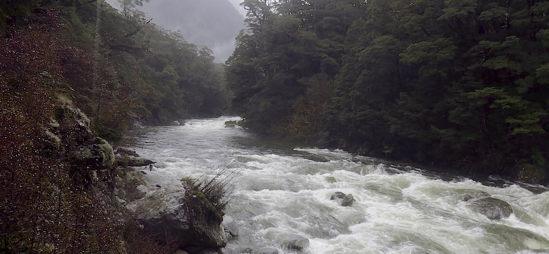 The Clinton River in almost flood after 180mm of overnight rain | Milford Track