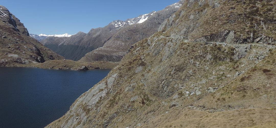 The goat track above Lake Harris, near Harris Saddle | Routeburn Track