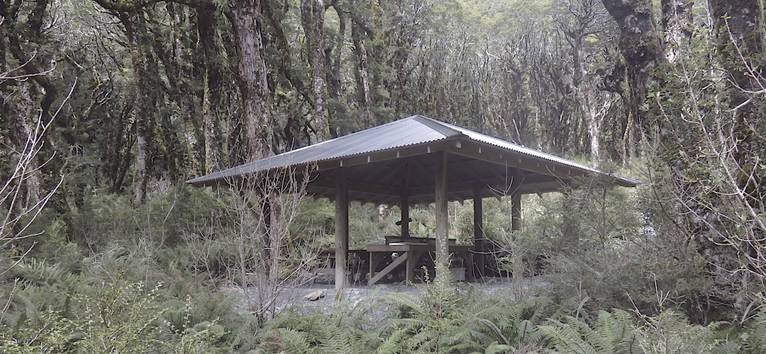 Kinda surreal with the kitchen structure in the forest.   | Lake Mackenzie camping area, Routeburn Track