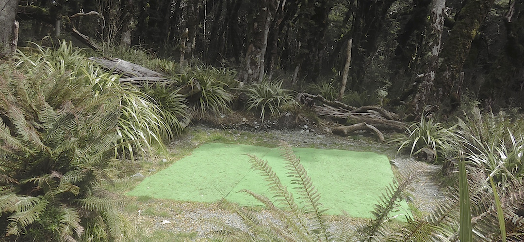 It's not a mini-putt golf course, that's where you put up your tent.   | Lake Mackenzie camping area, Routeburn Track