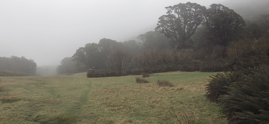 Somehow DOC seems to think that sloping sites are OK for tents.  | Greenstone Saddle camping area, Greenstone Track