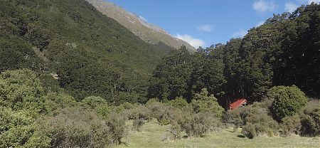 The hut is on the edge of the forest with a big matagouri flat adjacent.  | Steele Creek Hut, Greenstone Track