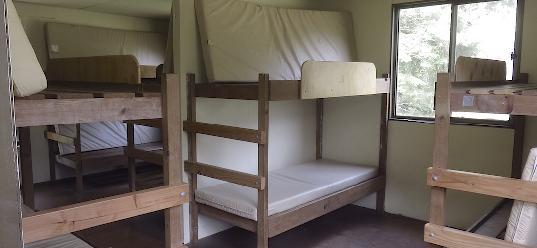 Yeah, the hut is fairly confined all round, 12 bunks here.  | Demon Trail Hut, Hollyford Track