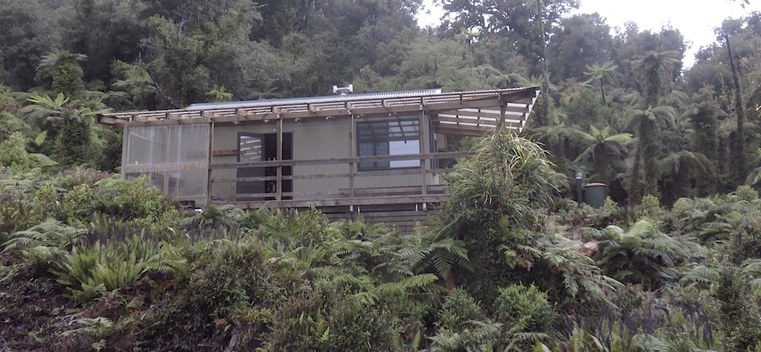 The hut is set in a clearing with a short walk down to the lake.  | Hokuri Hut, Hollyford Track