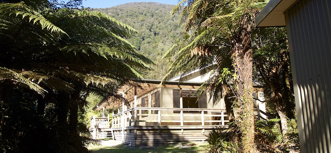 The hut is surrounded by shrubbery.  | Lake Alabaster Hut, Hollyford Track