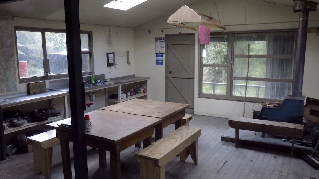 Not so many people stay here for some reason.  | MacKerrow Island Hut, Hollyford Track