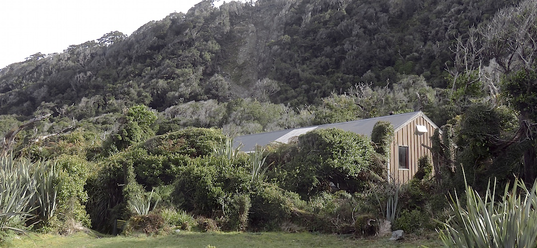 The hut is nestled away just up from the river mouth.  | Martins Bay Hut, Hollyford Track
