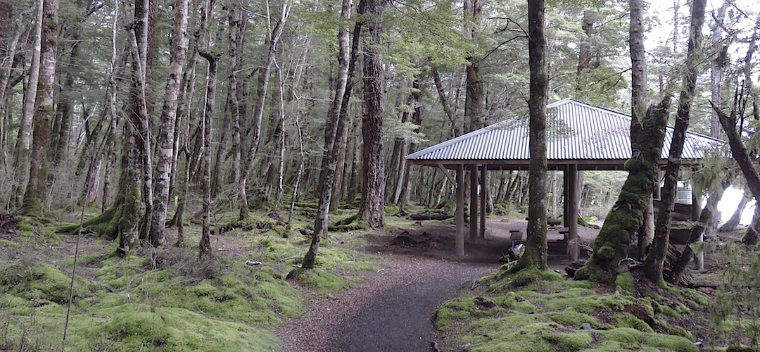 The kitchen shelter.  | Brod Bay campsite, Kepler Track