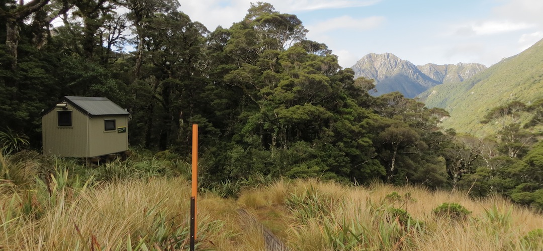 Stag Flat Shelter, Kahurangi National Park