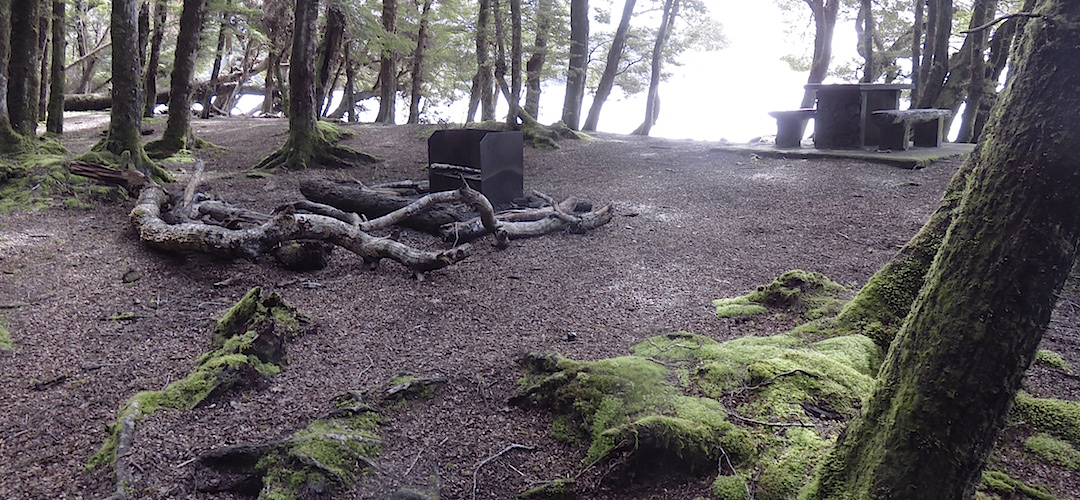 Typical campsite.  | Brod Bay campsite, Kepler Track