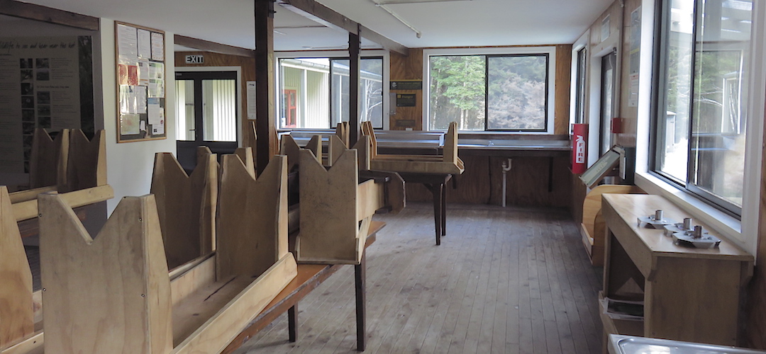 Kitchen/living area. | Iris Burn Hut, Kepler Track