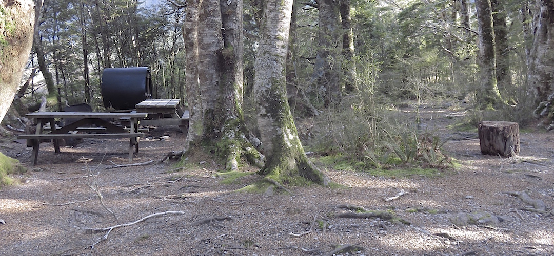 You whack your tent up somewhere around here. | Iris Burn campsite, Kepler Track