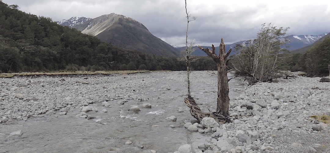 Day 11, and I hang around the Poulter Hut mostly.  |  Arthurs Pass blog