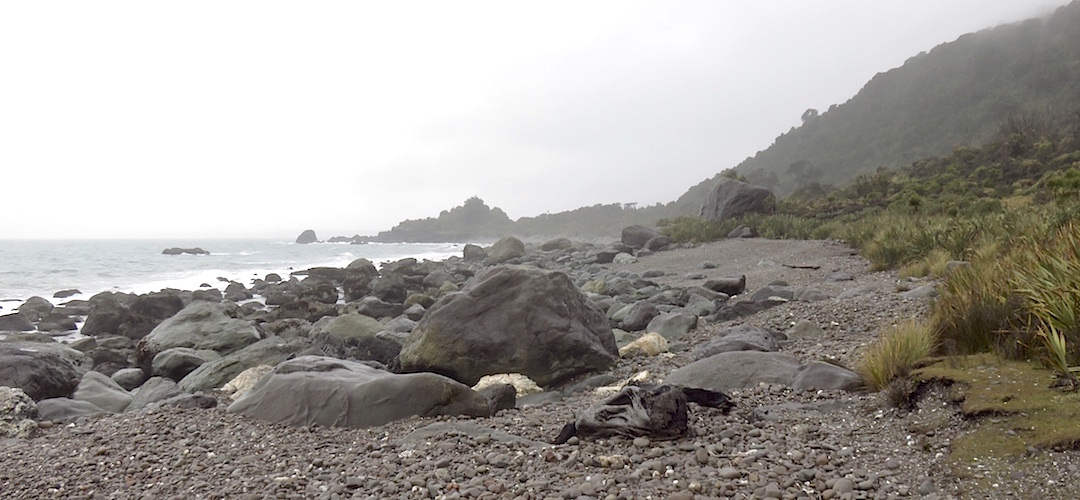 More rock hopping on the way to Martins Bay, looking back to Penguin Rock. | Pyke Big Bay Route, Pyke Forest Conservation Park