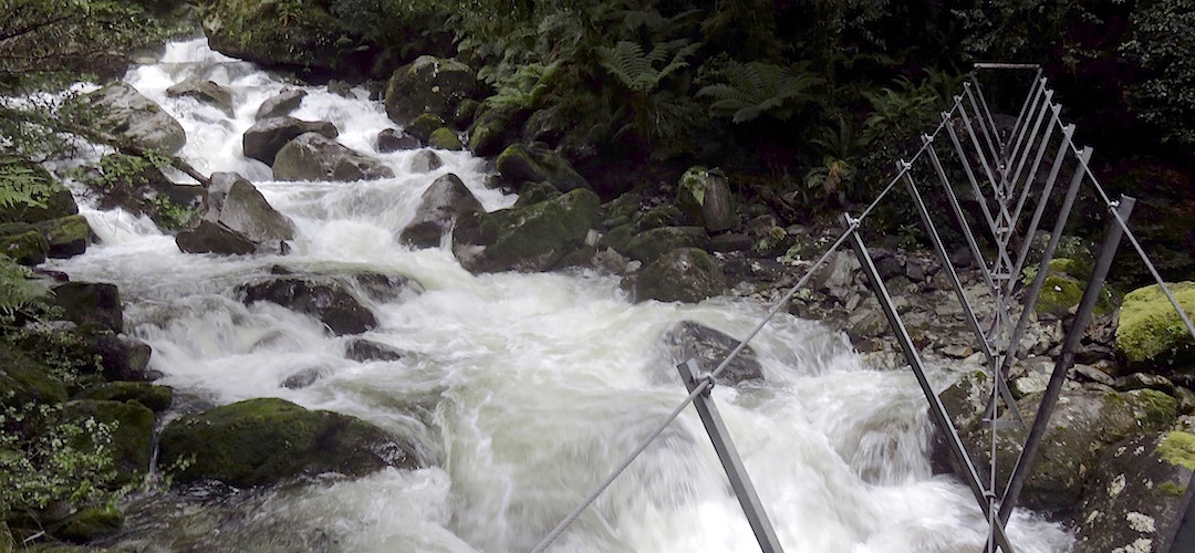 One of the many infamous three-wire bridges on the Demon Trail, you get to enjoy them. | Hollyford Track, Fiordland National Park