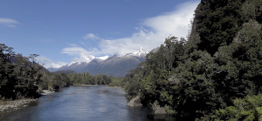 The Darran Range from the Pyke River suspension bridge. | Hollyford Track, Fiordland National Park