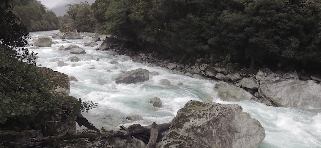 The upper Hollyford River from the Moraine Creek suspension bridge. One of the many infamous three-wire bridges on the Demon Trail, you get to enjoy them. | near the road, Fiordland National Park