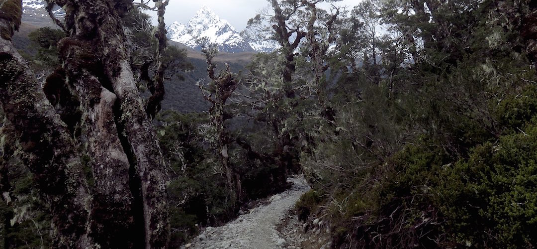 Final day heading down into the Greenstone Valley once again enroute to The Divide. | Caples Track, Greenstone Conservation Park