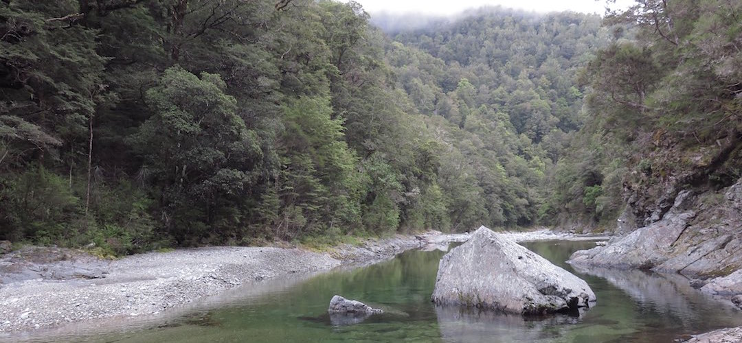 The Pelorus River at Roebuck Hut, Mt Richmond Forest Park