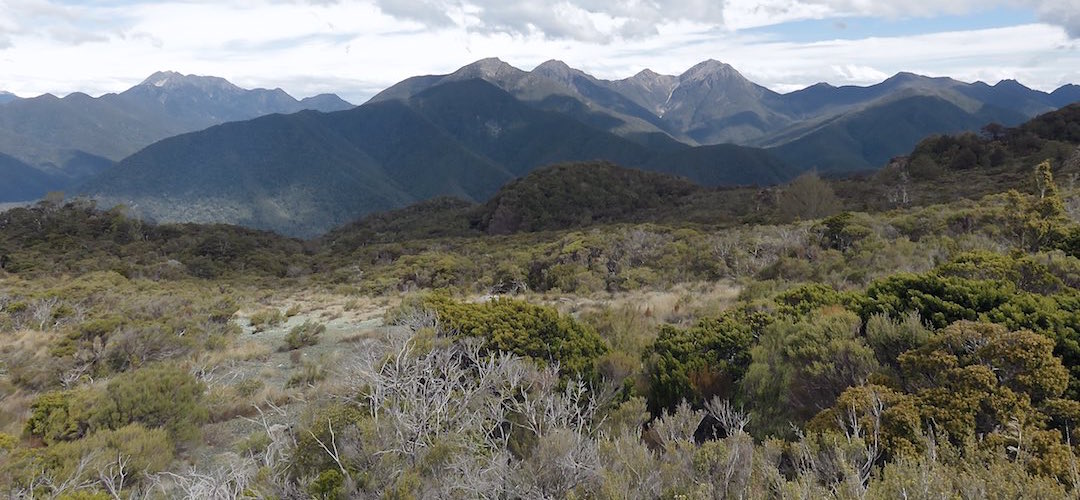 Just about the full 5 days tramping in view, Mt Fell, Richmond and ridges up and down, Mt Richmond Forest Park