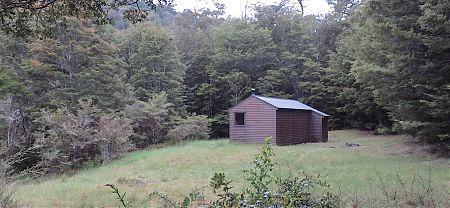 the hut is in a clearing | Middy Creek Hut, Mt Richmond Forest Park