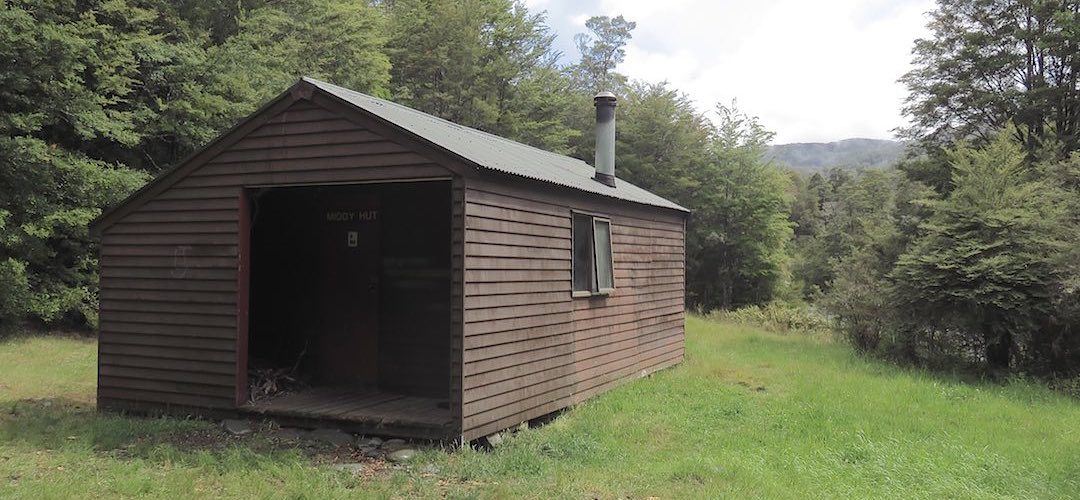 There's a verandah where good people leave wood for the next occupants | Middy Creek Hut, Mt Richmond Forest Park