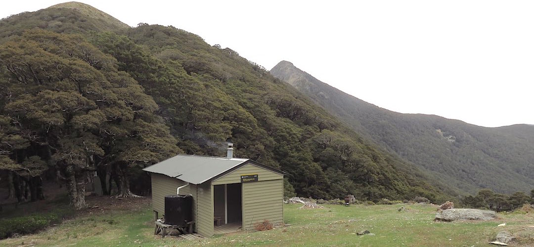  That's our hut with Grass Knob in the distance. | Richmond Saddle Hut, Mt Richmond Forest Park