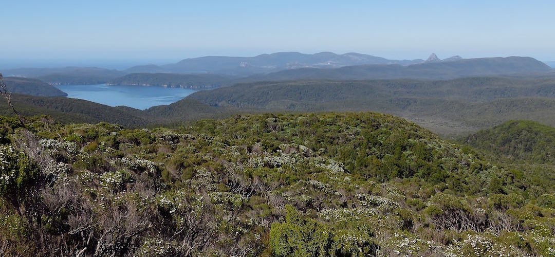 Is this the most outstanding view in New Zealand tramping? It's up there. | Tin Range, Stewart Island