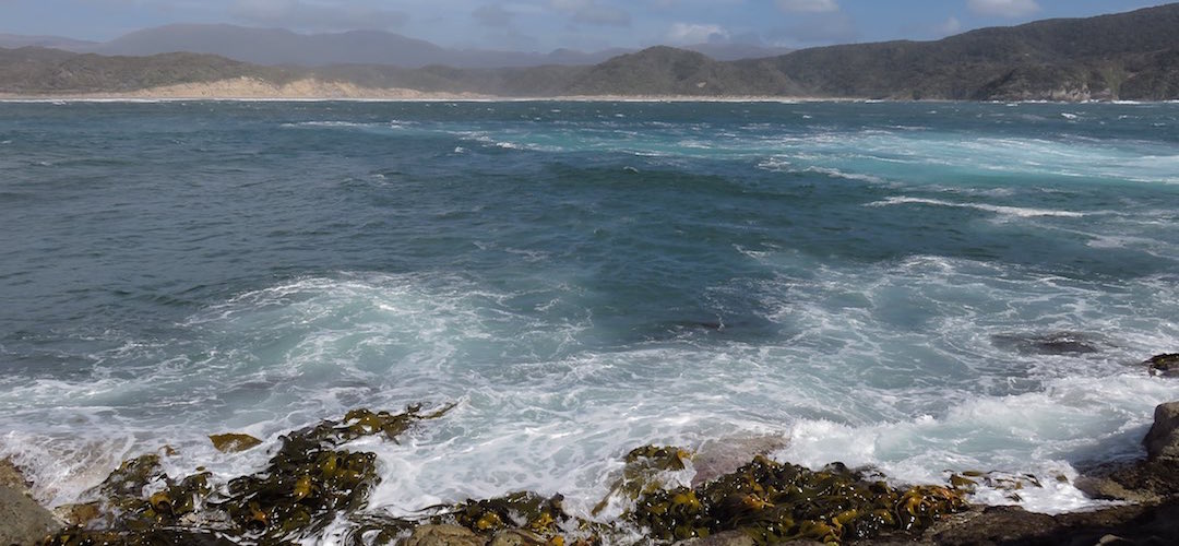 Major washing machine action at Doughboy Bay. | Southern Circuit, Stewart Island