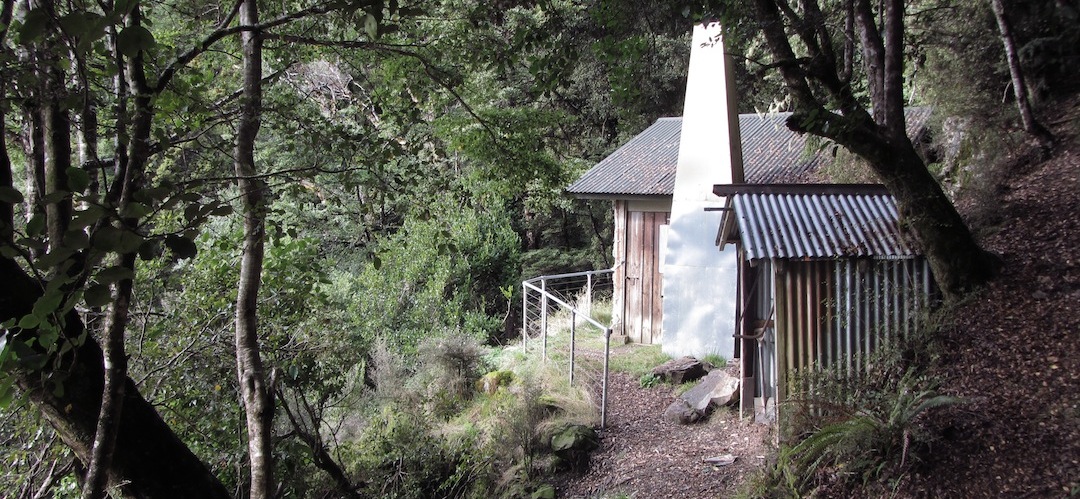 Splugeon Shelter, Kahurangi National Park 3
