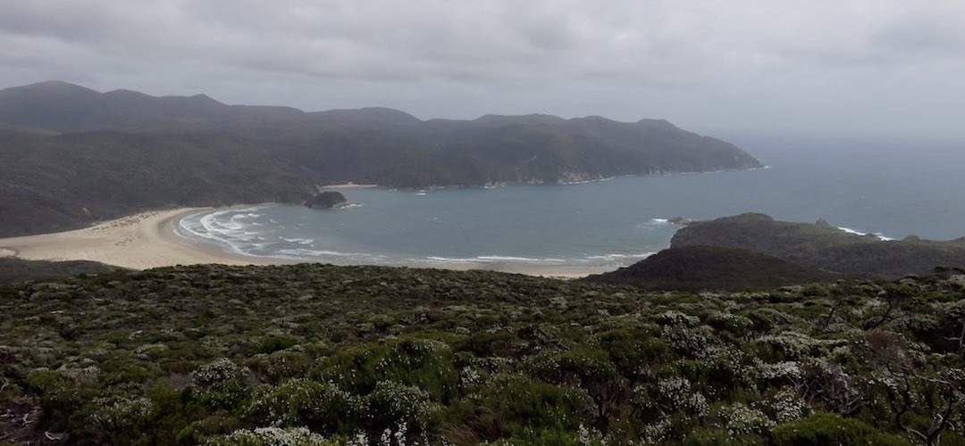 Doughboy Bay  in the gloom from Doughboy Hill. | Southern Circuit, Stewart Island