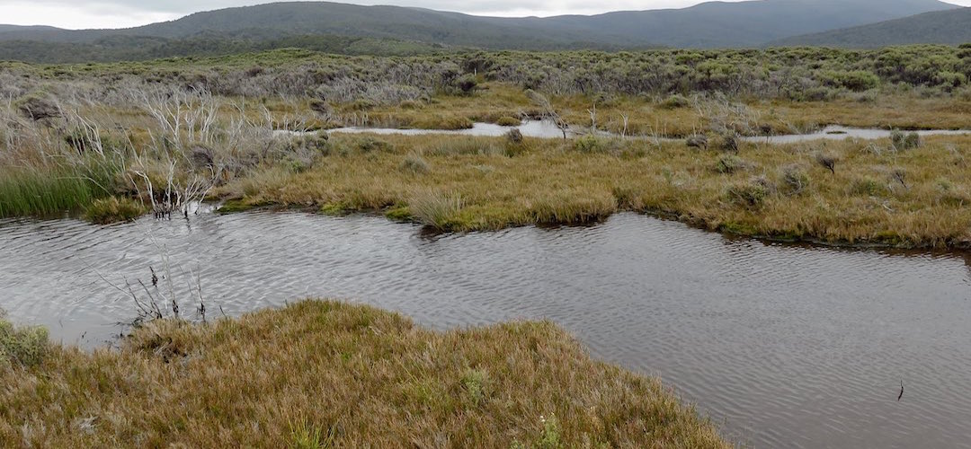 Looks straight forward but my advice is not to use the direct route. | Freshwater Plain, Stewart Island