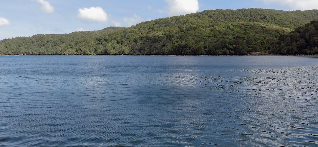Looking over to where the old fish factory once stood. Just a retaining wall remains. | North Arm, Port Pegasus, Tin Range route, Stewart Island