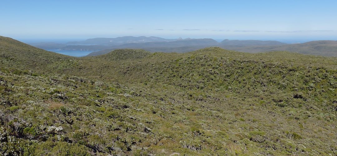 When you finally burst of of the more than head high scrubbery the view is just awesome. | Tin Range route, Stewart Island