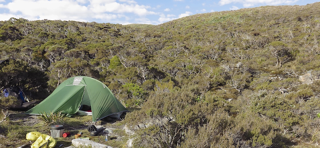The tiny campsite at Twin Pools crossing. | Tin Range, Stewart Island