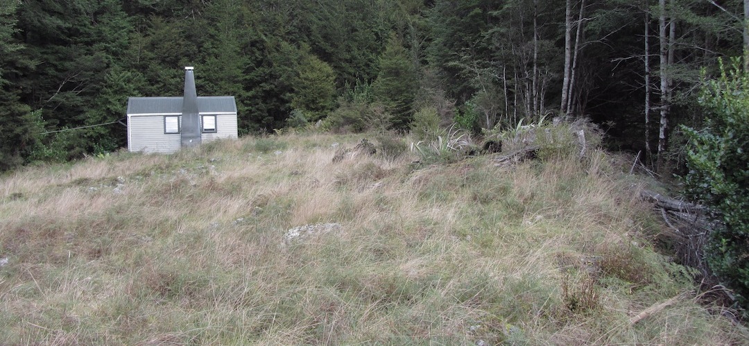 Thor Hut, Kahurangi National Park 1