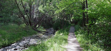 start of Big Hill Track near Arrowtown | Motatapu Track, Arrowtown to Wanaka