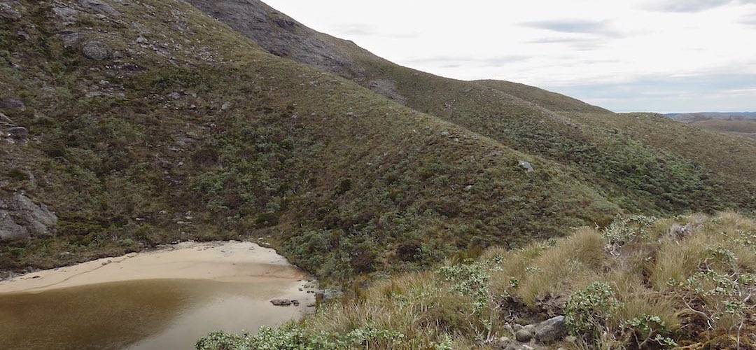 The setting is great, the campsite verging on inadequate.  | Mt Allen lake, northside campsite, Tin Range, Rakiura National Park, Stewart Island