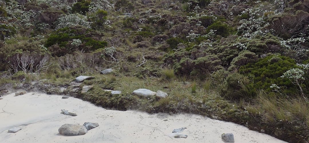 The campsite at the north end is tiny.  | Mt Allen lake, north side campsite, Tin Range, Rakiura National Park, Stewart Island