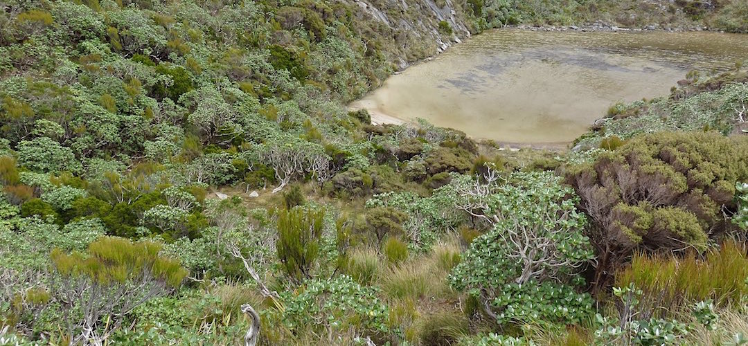 Probably a better campsite at the south end of the lake.   | Mt Allen lake, south side campsite, Tin Range, Rakiura National Park, Stewart Island