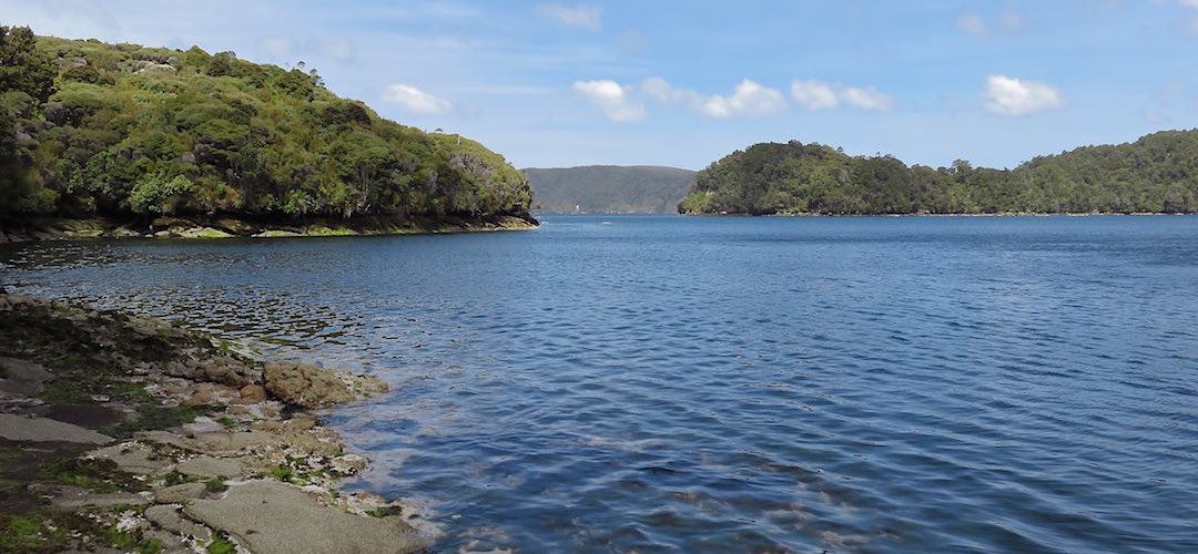 Just down from the campsite is this view, complete with mussels and oysters at low tide. | North Arm, Port Pegasus campsite, Tin Range, Rakiura National Park, Stewart Island